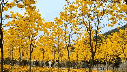 邮驿付云音箱怎么连接_邮驿付音箱连接不上网_邮驿付音箱说明