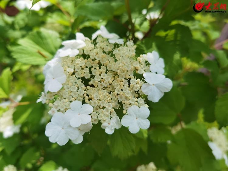 学校音箱怎么连接_音箱连音箱_用于连接音箱的叫什么
