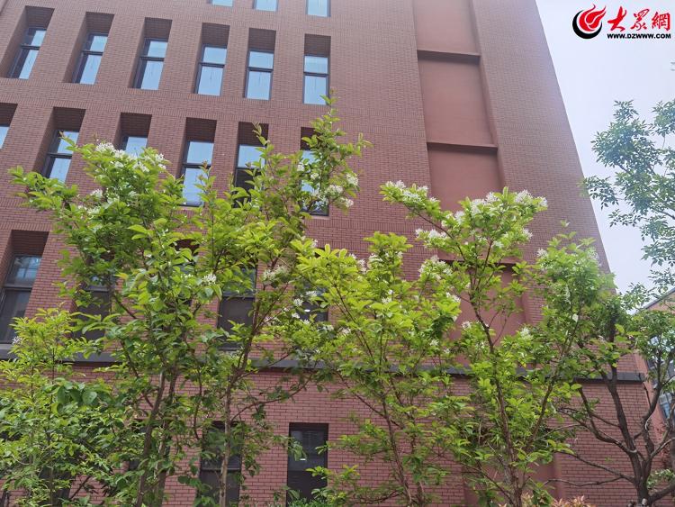 学校音箱怎么连接_音箱连音箱_用于连接音箱的叫什么