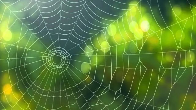 如何正确连接电子琴和音响设备：详细指南与转换线缆选择
