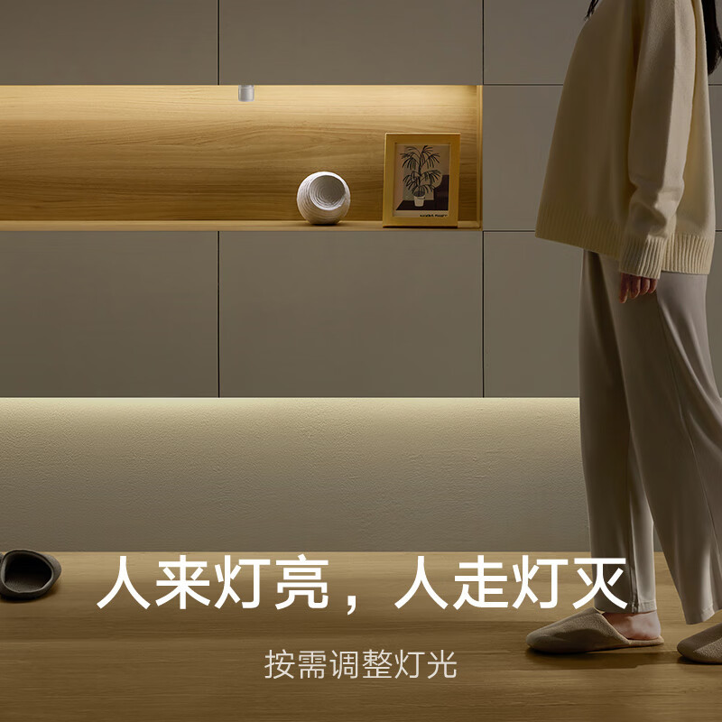 探索iPad接入小米音响的智能家居创新应用场景