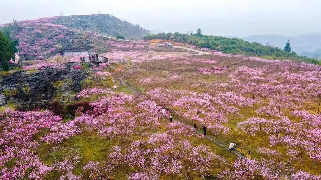 doss音箱怎么连接手机_手机连接音箱后没有声音_手机连接音箱怎么连接