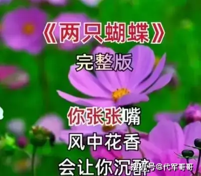 蓝牙鼓友连接音箱没声音_电鼓连接蓝牙音箱_友鼓怎么连接蓝牙音箱