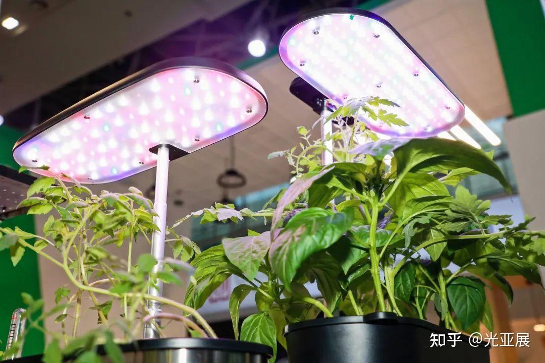 小爱音箱与网关：智能家居连接技巧与注意事项