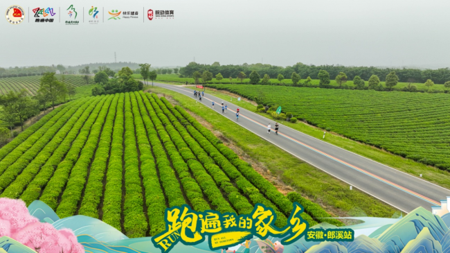 播放连接机音箱打碟怎么调_打碟机如何连接音箱播放_播放连接机音箱打碟没声音